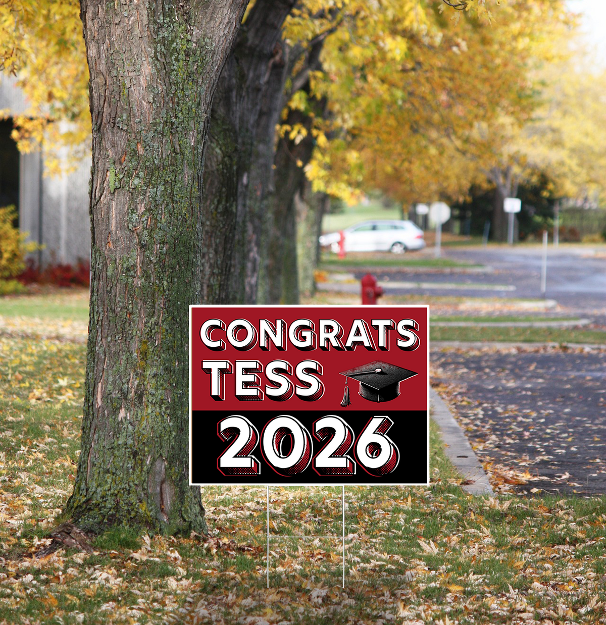 Graduation Yard Signs – Pop Art