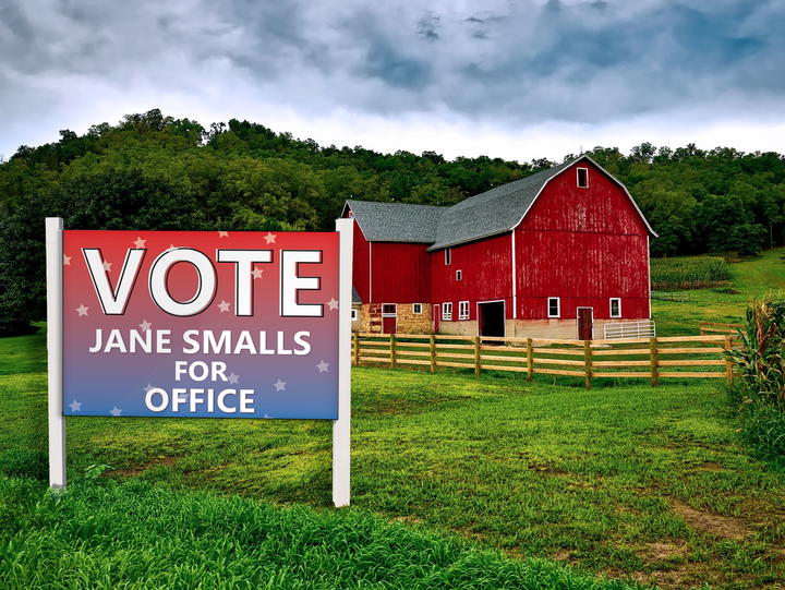 Political/ Voting Large Roadside Signs