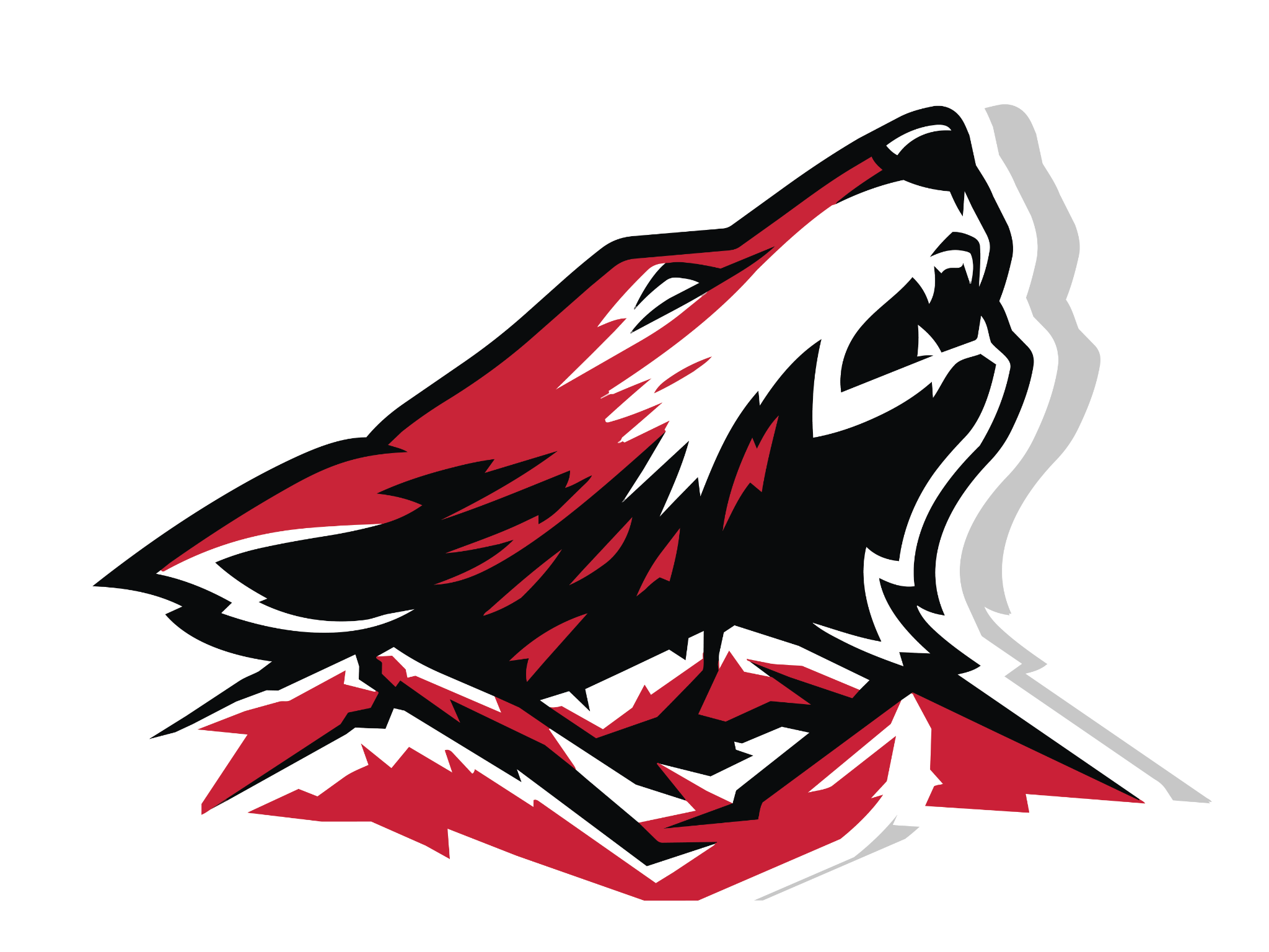 School logo